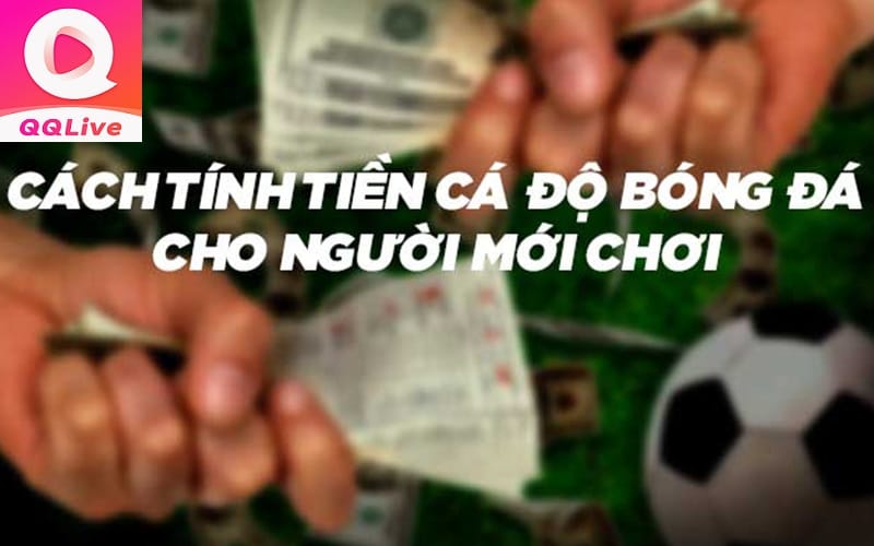 tính tiền kèo cược qqlive