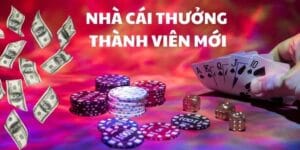 Các loại khuyến mãi nhatvip