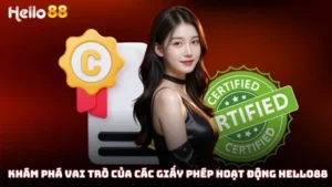 Khám phá vai trò của các giấy phép hoạt động Hello88