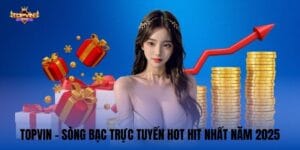 Topvin