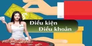 Tóm tắt các điều khoản sử dụng mà VB777 đã thiết lập