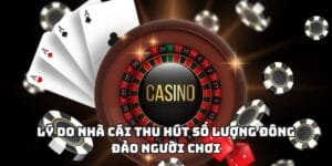 Lý do nhà cái cá cược max88 thu hút được nhiều cược thủ tham gia
