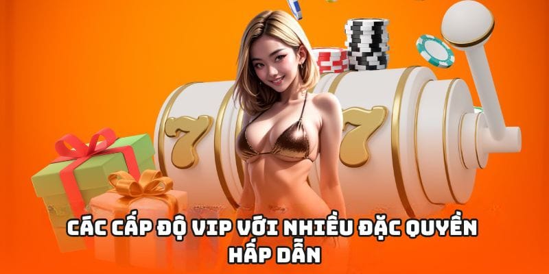 Các cấp độ VIP với nhiều đặc quyền hấp dẫn