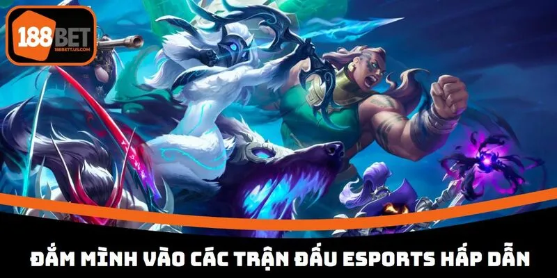 Đắm mình vào các trận đấu eSports hấp dẫn
