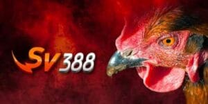 Các loại trận đấu phổ biến trên SV388