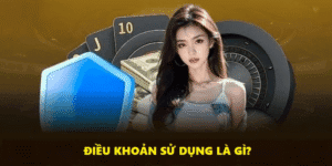Điều khoản bảo vệ quyền lợi người chơi