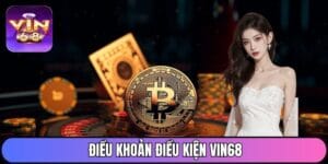 Điều khoản điều kiện VIN68