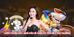 Giới thiệu C54