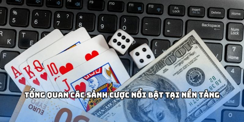 Tổng quan các sảnh cược nổi bật tại nền tảng
