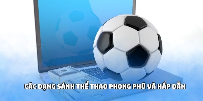 Các dạng sảnh thể thao phong phú và hấp dẫn