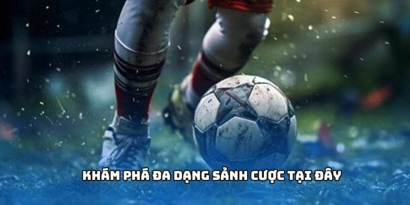 Khám phá đa dạng sảnh cược tại đây