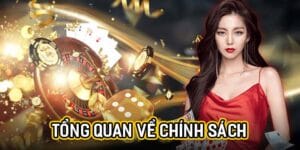 Tổng quan về chính sách