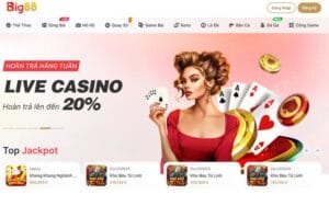 Giới thiệu đôi nét về Big88