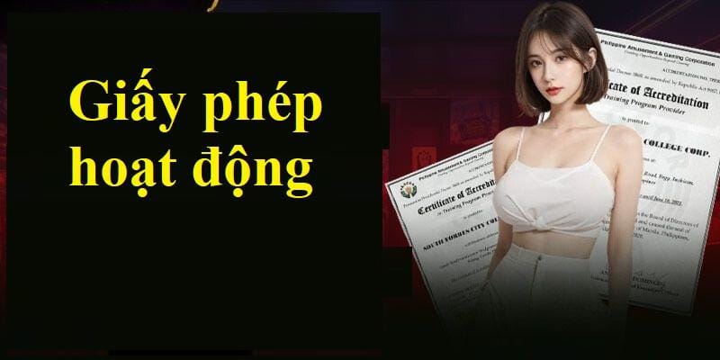 Tổng hợp các loại giấy phép kinh doanh của nhà cái 58win