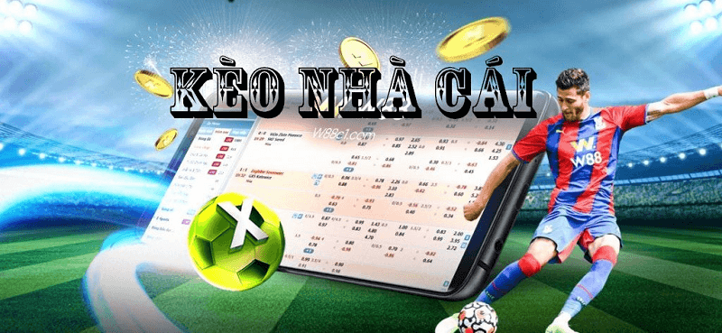 Sự phát triển của tỷ lệ cược của nhà cái
