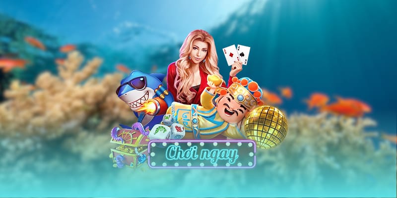 Chiến thuật săn cá hiệu quả cho người mới