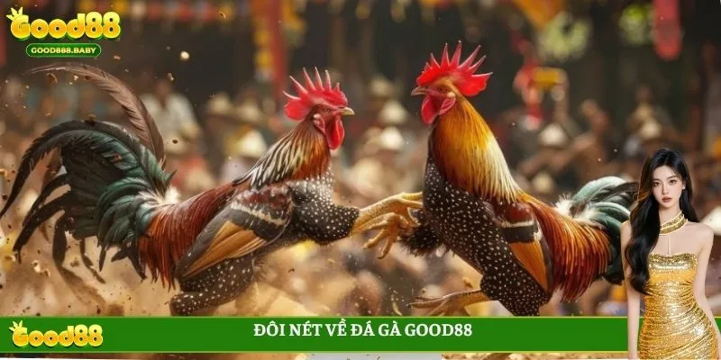 Đôi nét về đá gà GOOD88