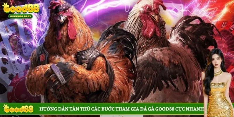 Hướng dẫn tân thủ các bước tham gia đá gà GOOD88 cực nhanh