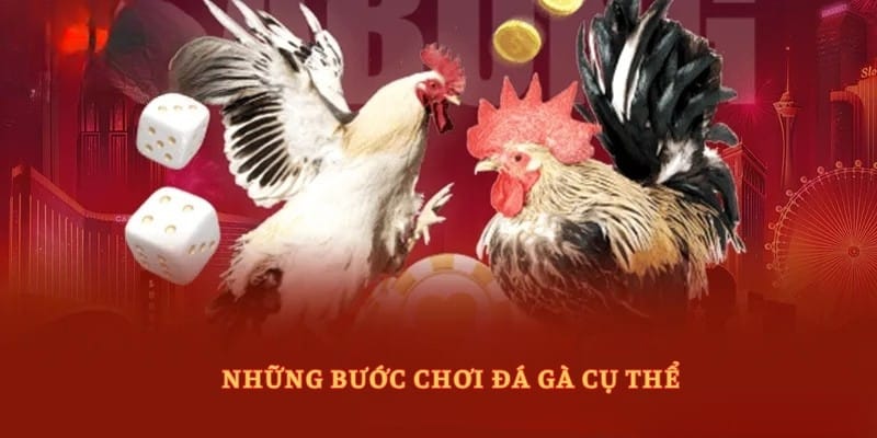 Những bước chơi đá gà thomo C1 cụ thể