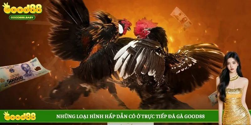 Những loại hình hấp dẫn có ở trực tiếp đá gà GOOD88