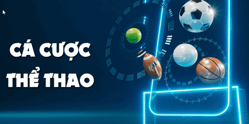 Sport King88 với các điểm khác biệt