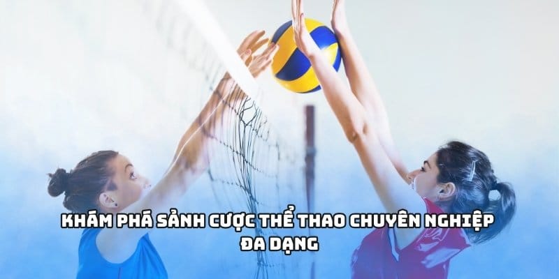 Khám phá sảnh cược thể thao chuyên nghiệp đa dạng