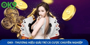 Không Cần Nhiều Kinh Nghiệm Vẫn Dễ Làm Quen OK9