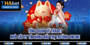 Giới Thiệu Chung Về THABET