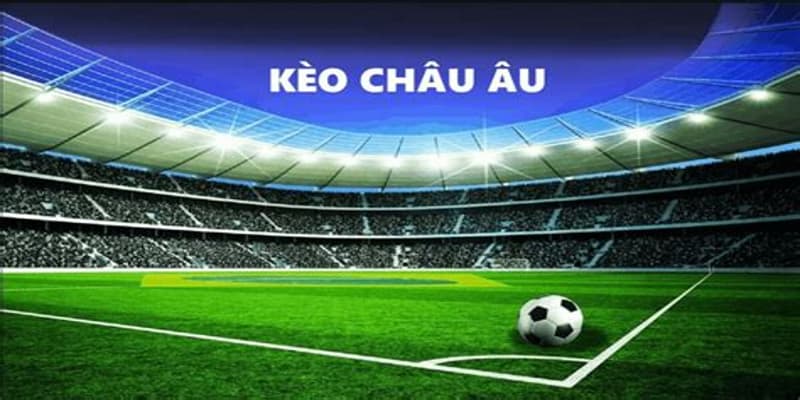 Kinh nghiệm phân tích kèo châu Âu từ chuyên gia cá cược