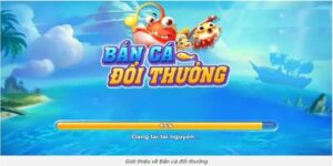 Tìm hiểu về sân chơi game online bắn cá VNLOTO 