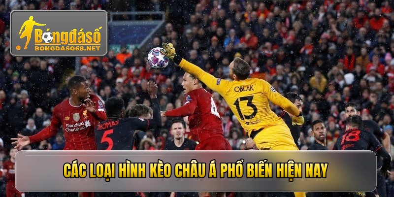 Các loại hình Kèo Châu Á phổ biến hiện nay