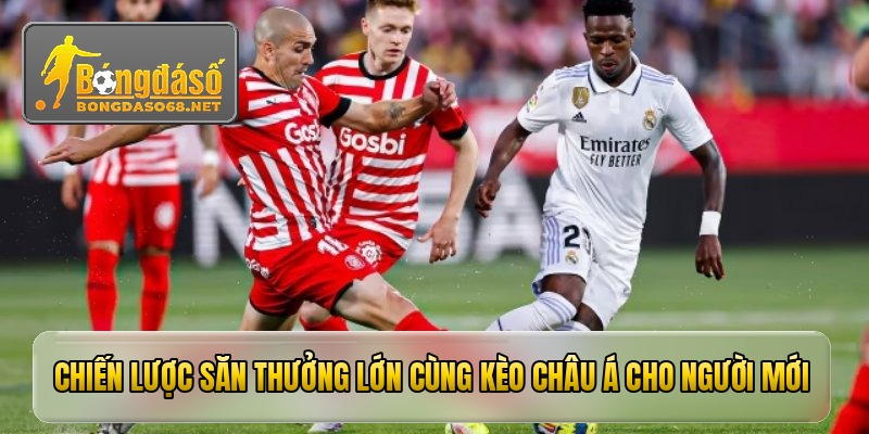 Chiến lược săn thưởng lớn cùng Kèo Châu Á cho người mới