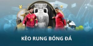 Những thông tin cơ bản về kèo rung 8xbet