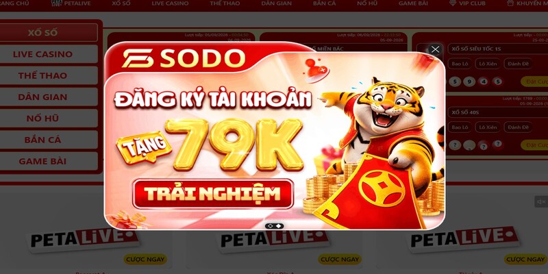 Những nguyên tắc an toàn cần lưu ý khi đăng nhập 79 sodo