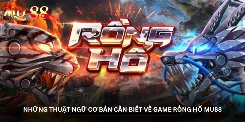 Những thuật ngữ cơ bản cần biết về game Rồng hổ Mu88