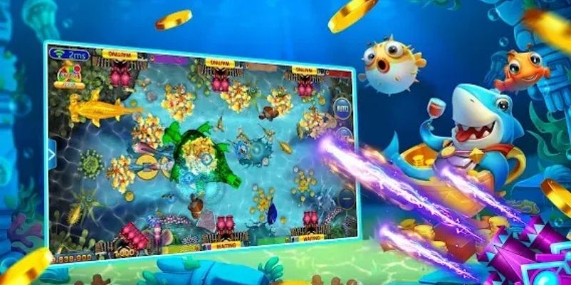 Trình tự cài đặt thiết bị để săn cá không lo giật lag