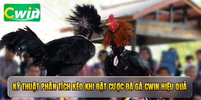 Kỹ thuật phân tích kèo khi đặt cược đá gà cwin hiệu quả